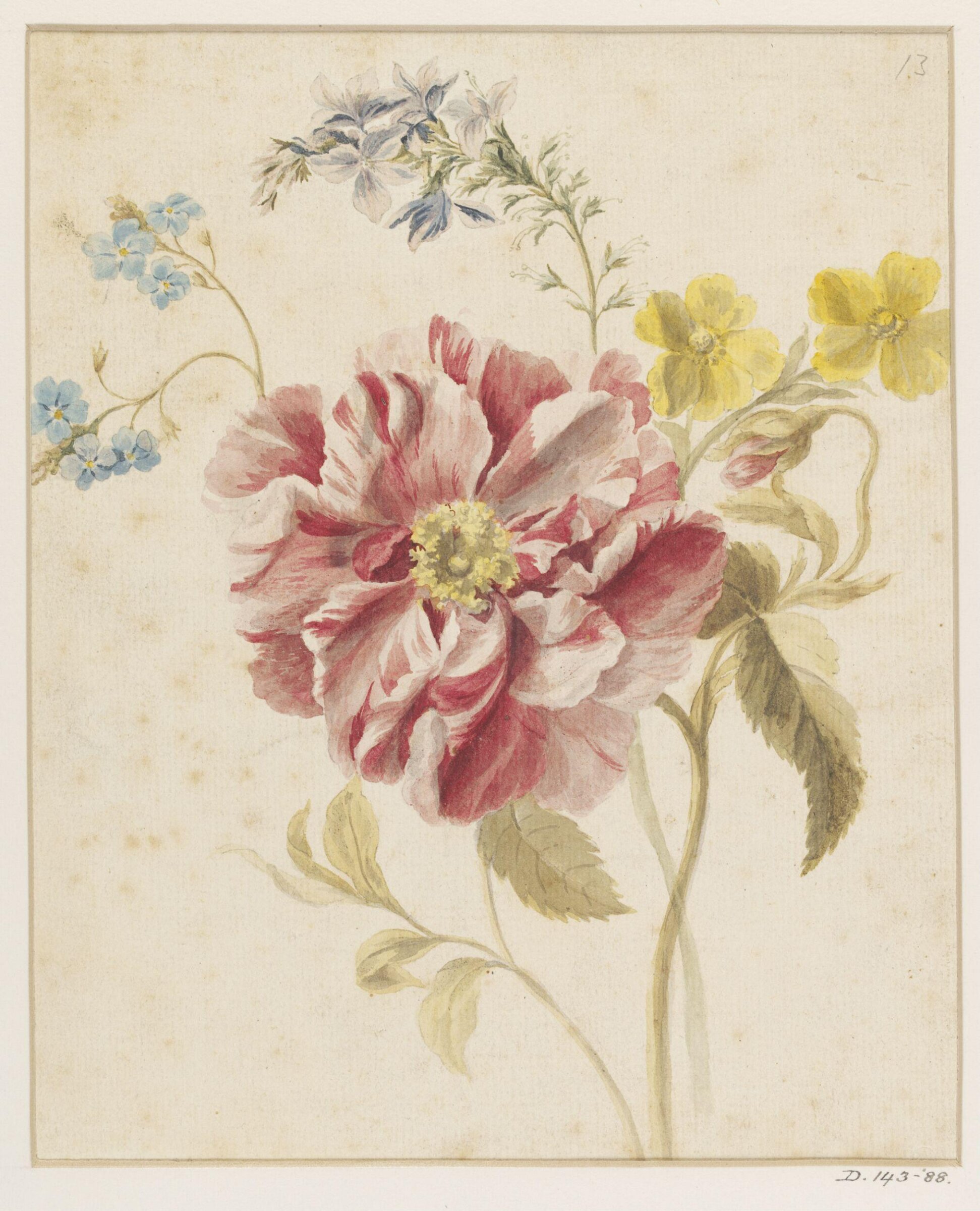 Sprig of flowers, Mary Moser, ca. 1764-1819