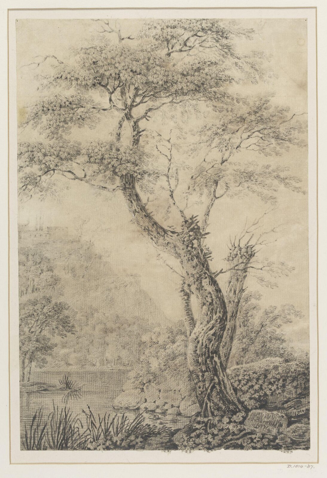Drawing