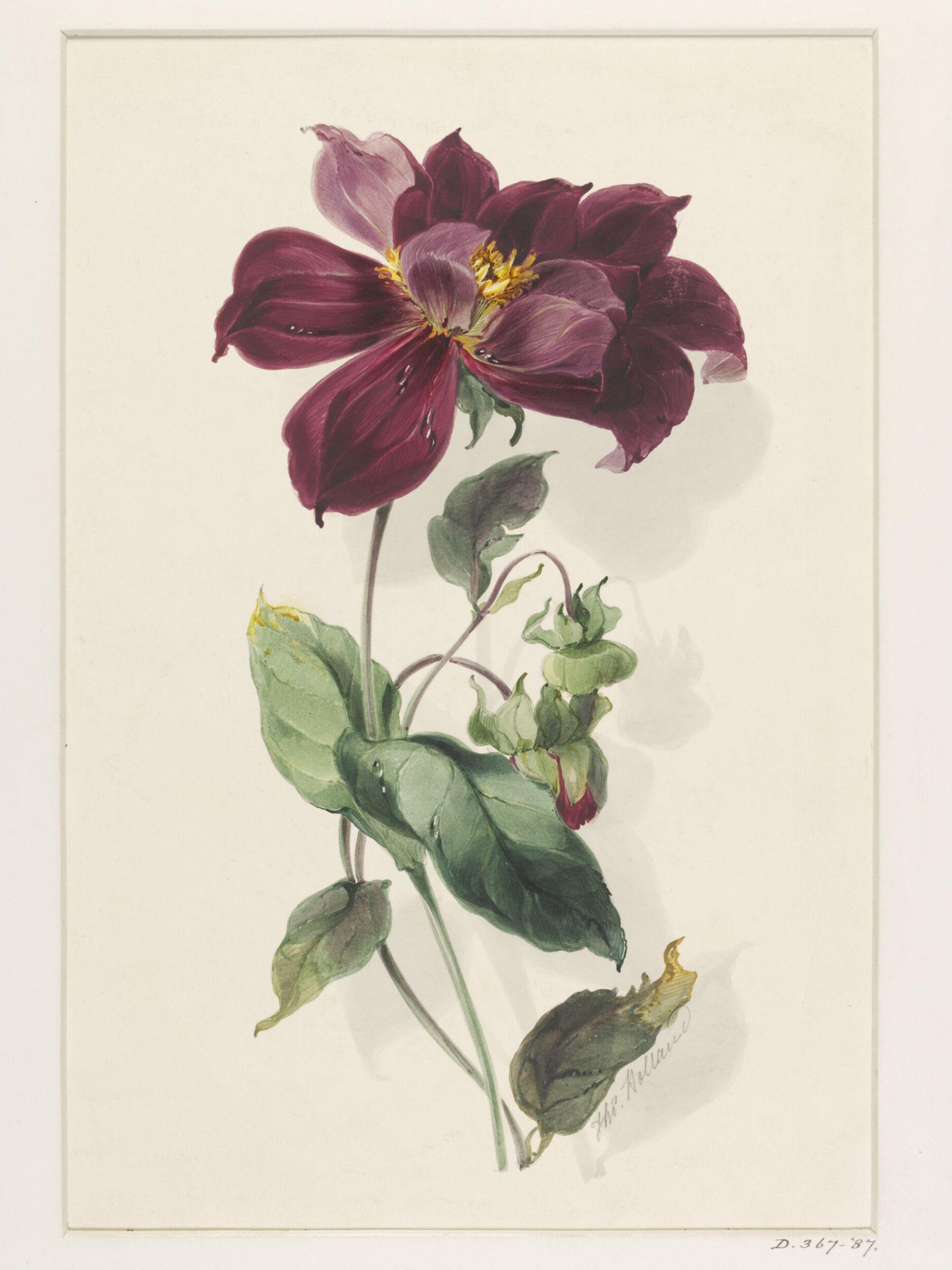 Drawing, Thomas Holland, 19th century