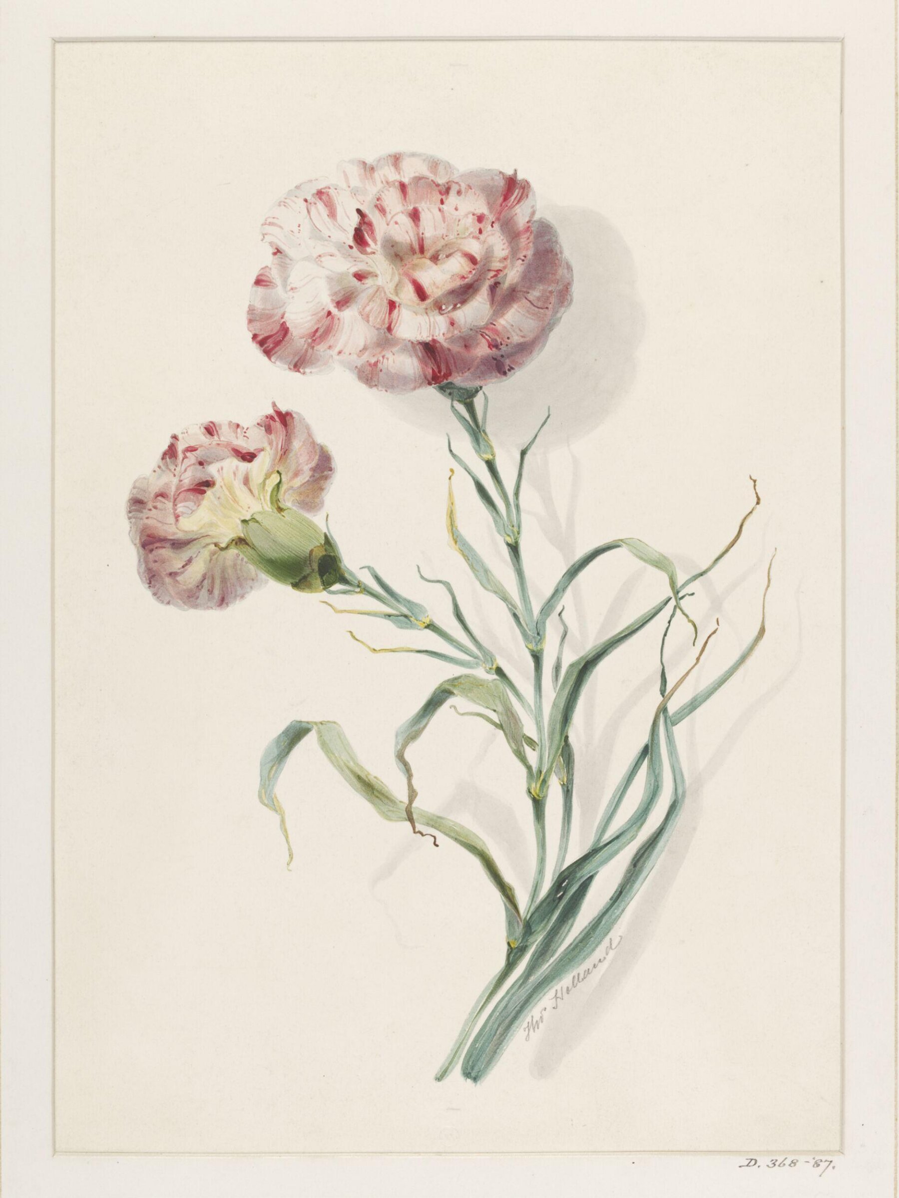 Drawing, Thomas Holland, 19th century