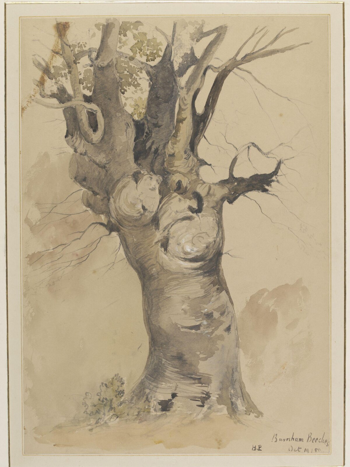 Drawing, 19th Oct 1850