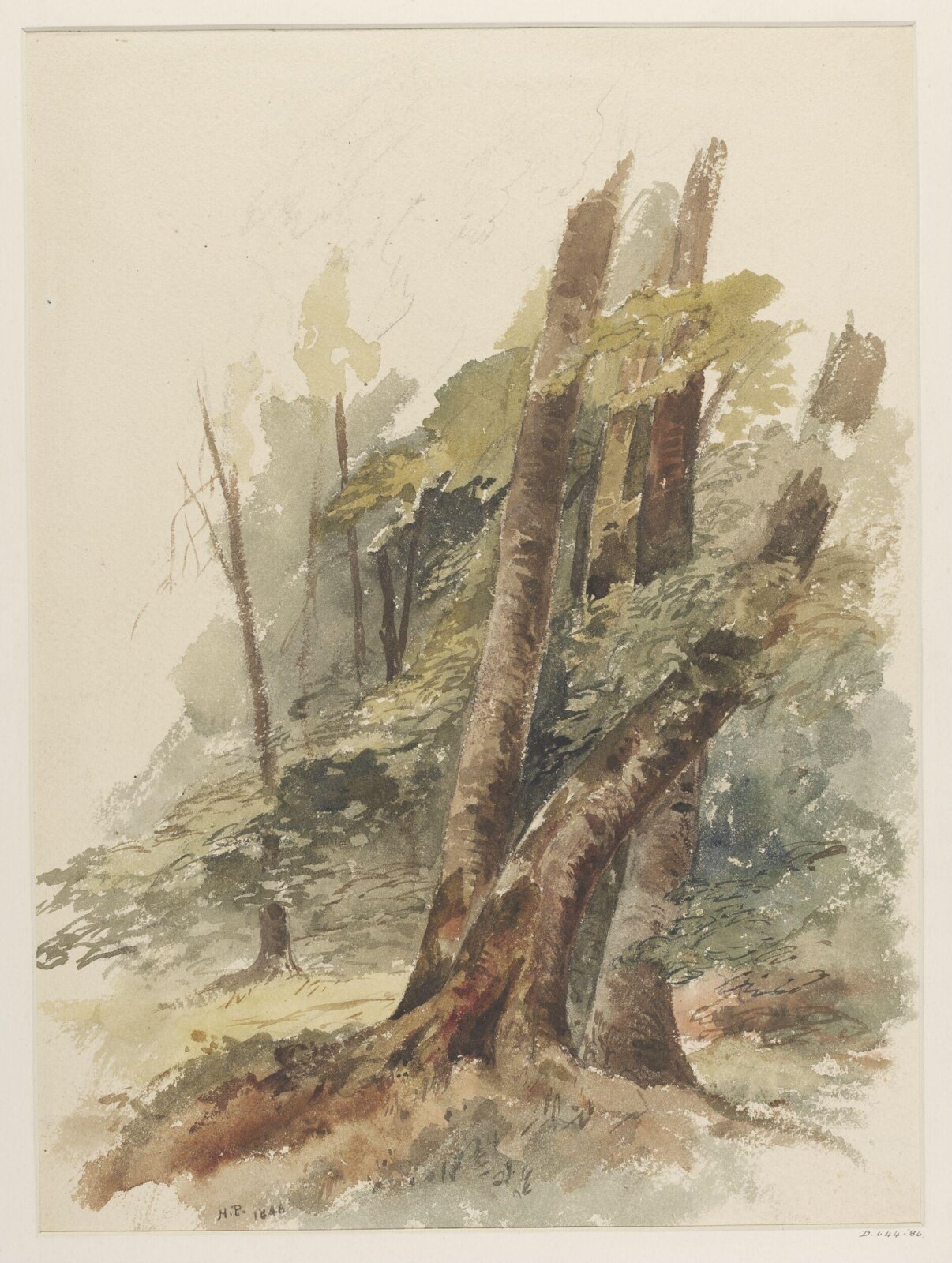 Drawing, 1846