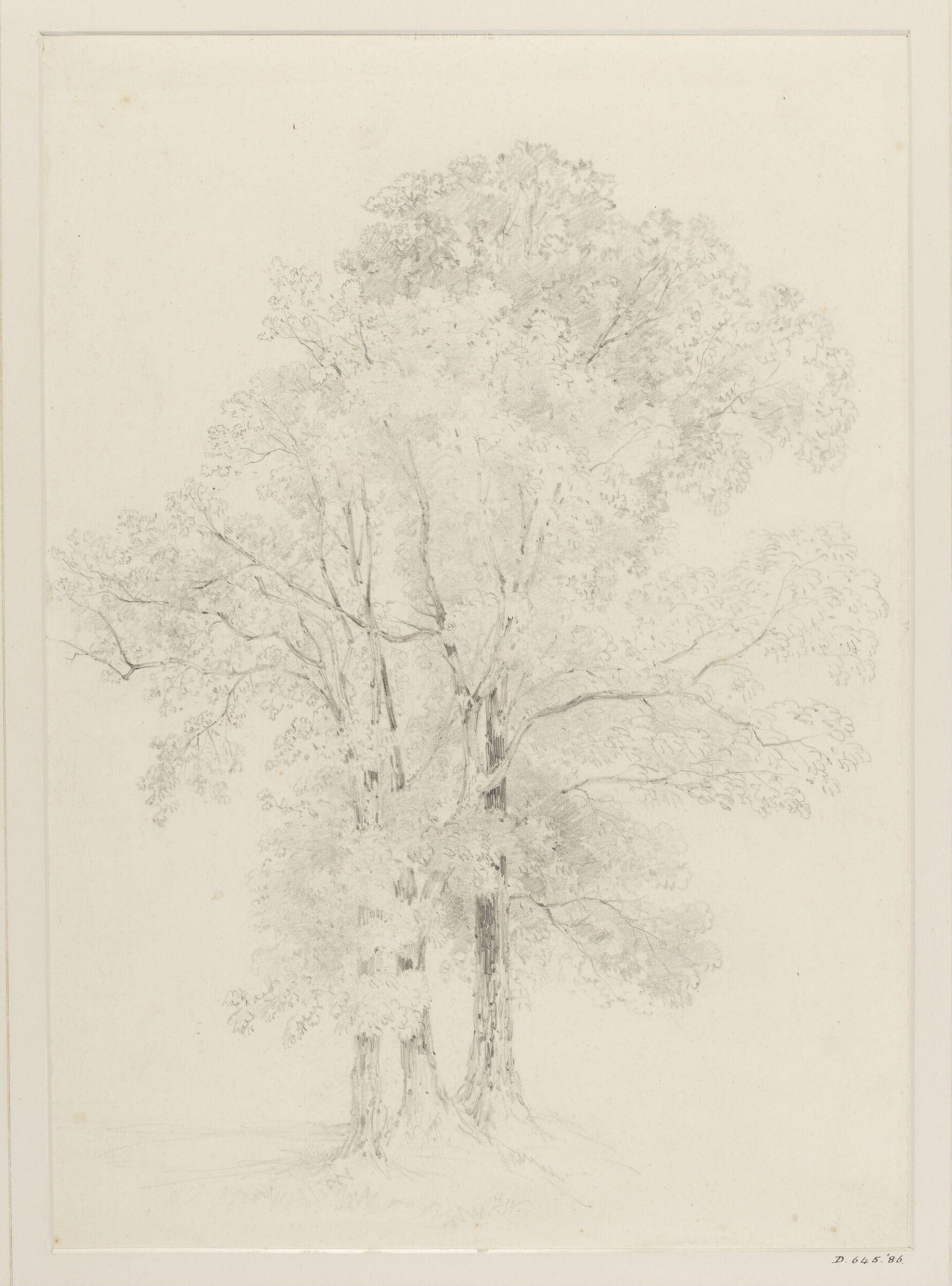 Drawing, John Wood, 19th century