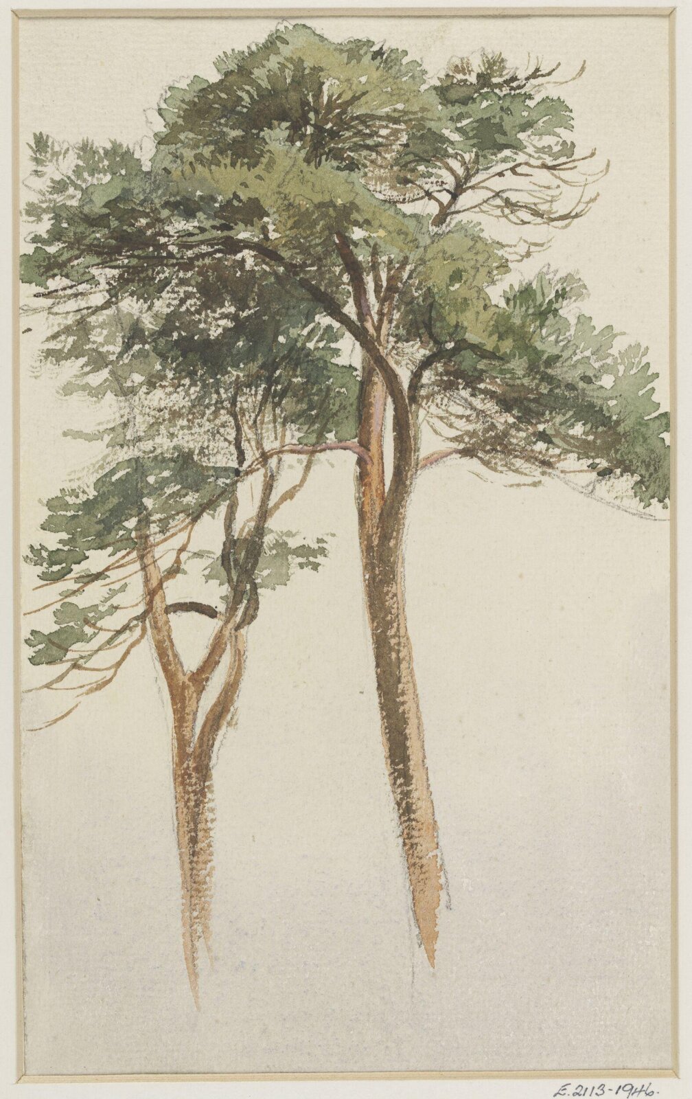 Drawing, A. Bainbrigge