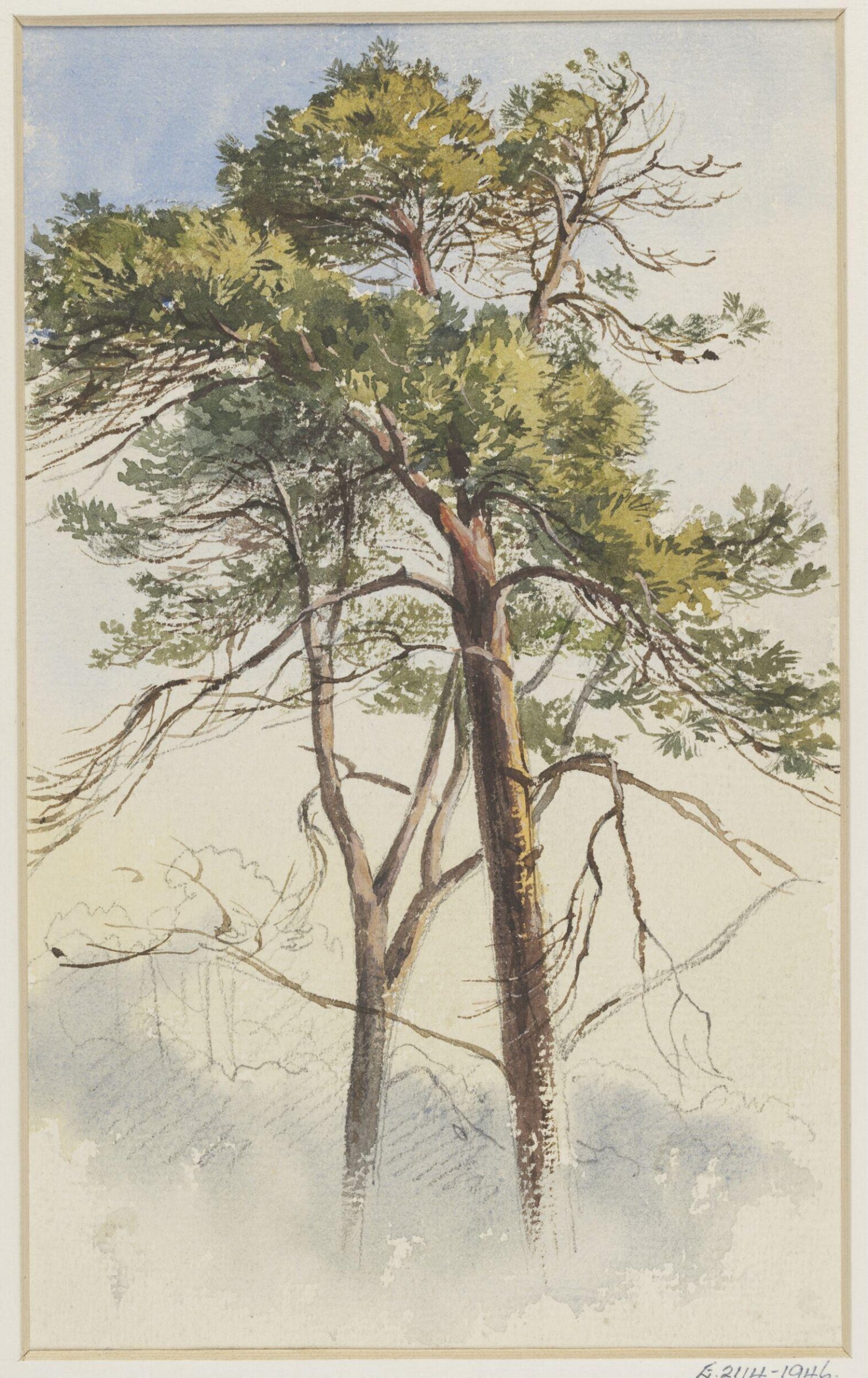 Drawing, A. Bainbrigge