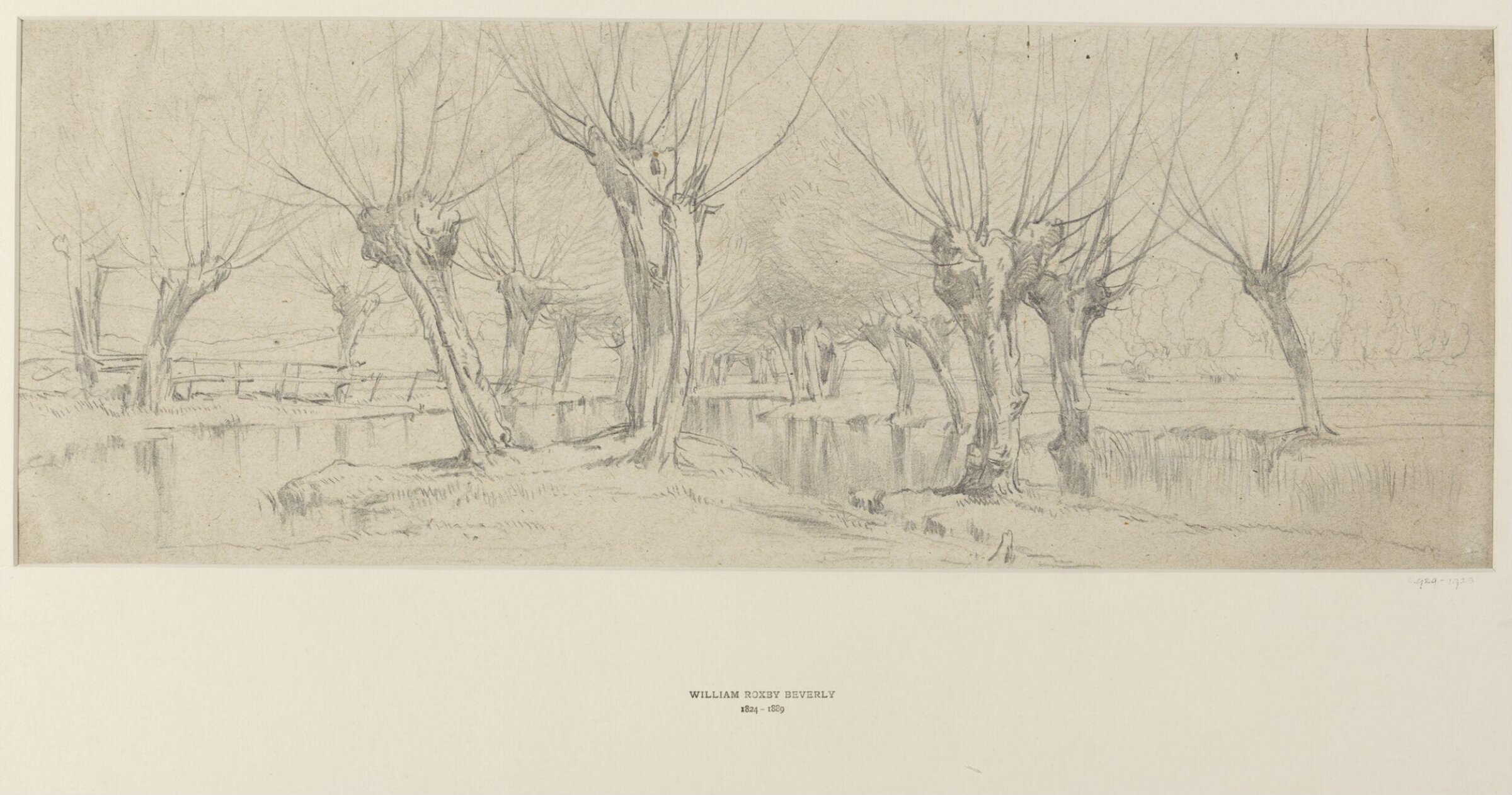 Study of Trees, William Roxby Beverley, 19th century