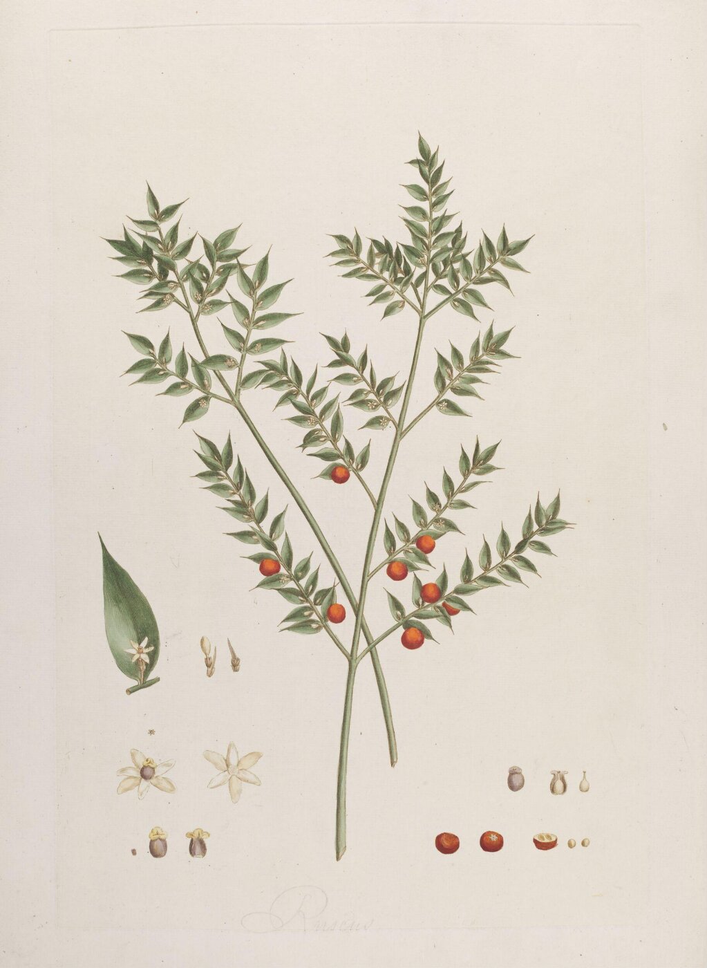 John Miller, Print