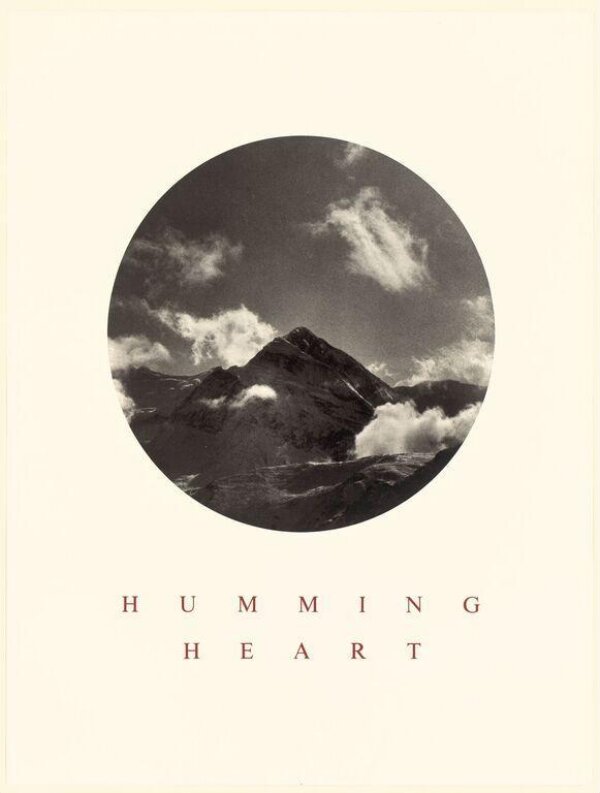 Humming Heart | Fulton, Hamish | V&A Explore The Collections