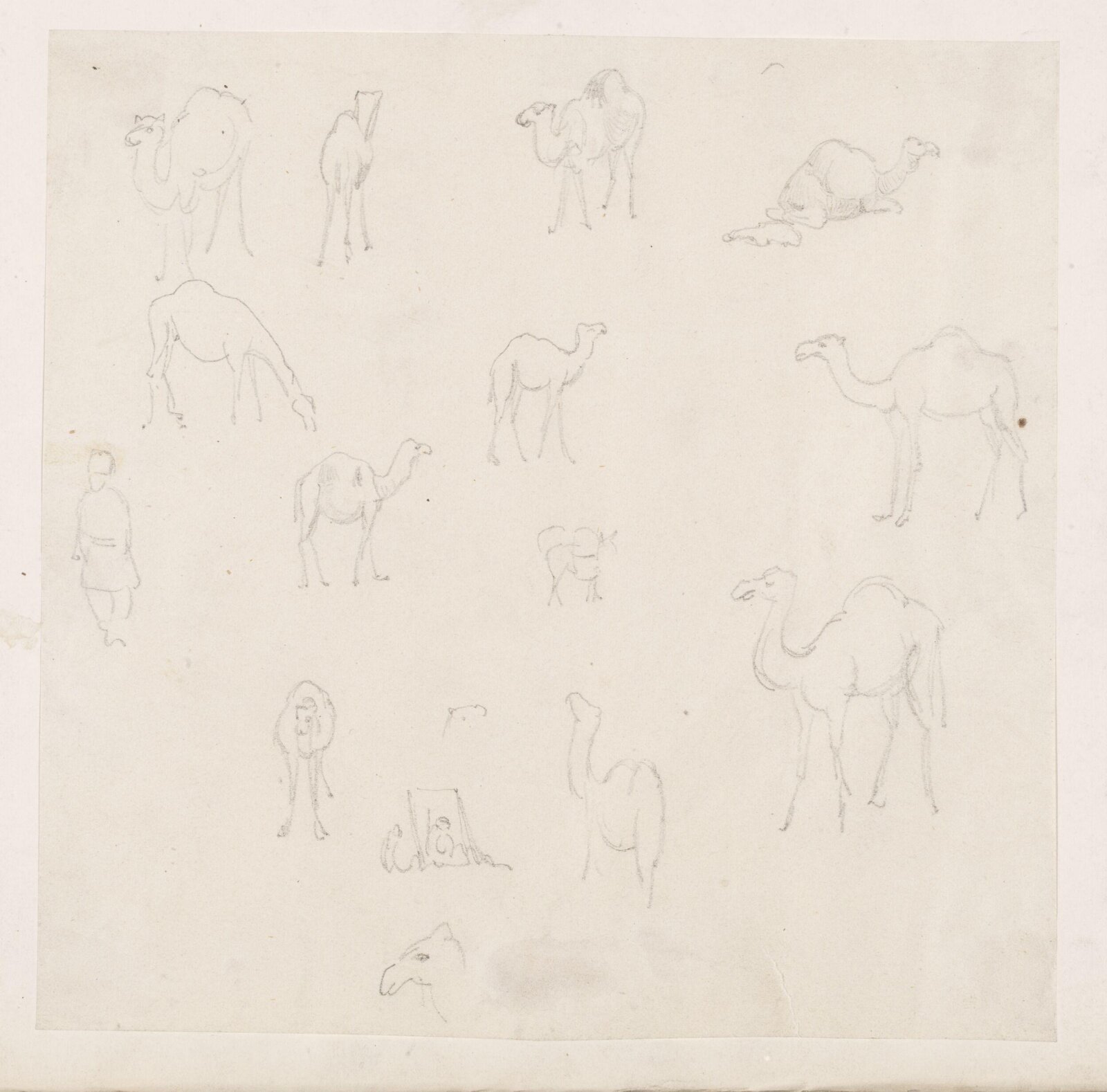 Drawing, Richard Phené Spiers, 19th century