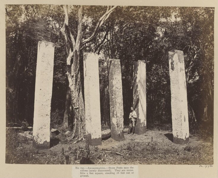 Anuradhapura- Stone Posts near the canoes (newly discovered). They are monoliths 2 feet square, standing 16 feet out of ground. top image