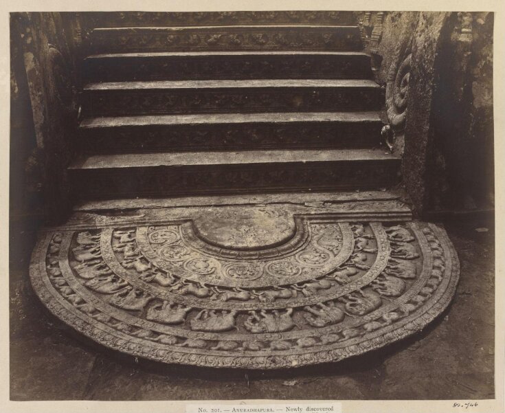 Anuradhapura- Newly discovered Pavilion (No. 197). Sculptured semicircular moon-stone at foot of steps. This is by far the finest moonstone that has yet been discovered, and, having been buried for centuries, it is in perfect condition. top image