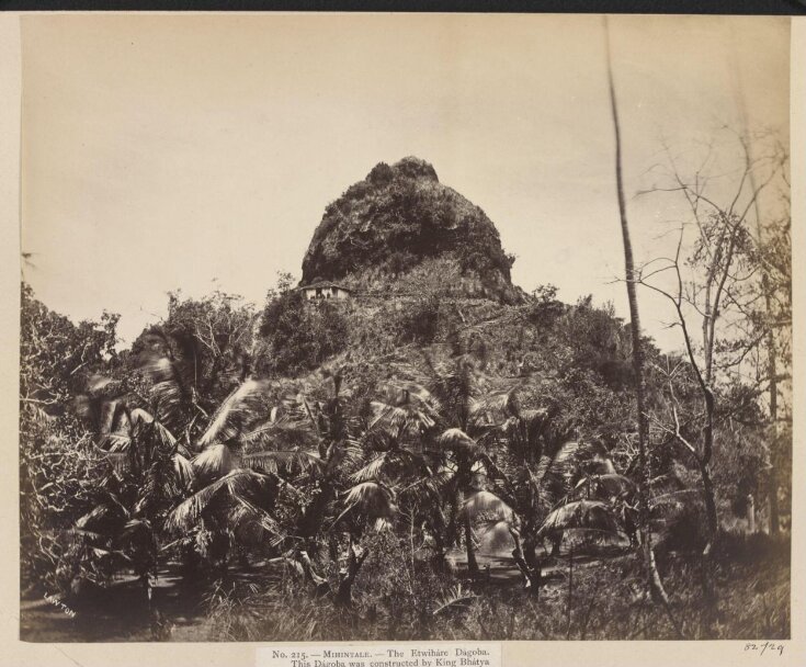 Mihintale- The Etwiháre Dágoba. This Dágoba was constructed by King Bhátya Tissa in the first year of the Christian era, and enshrines within a mass of solid brickwork, nearly 100 feet high, a single hair from the forehead of Buddha.