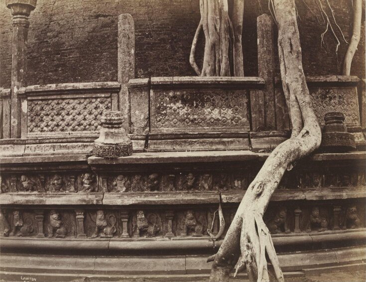 Polonnaruwa. The watadage top image