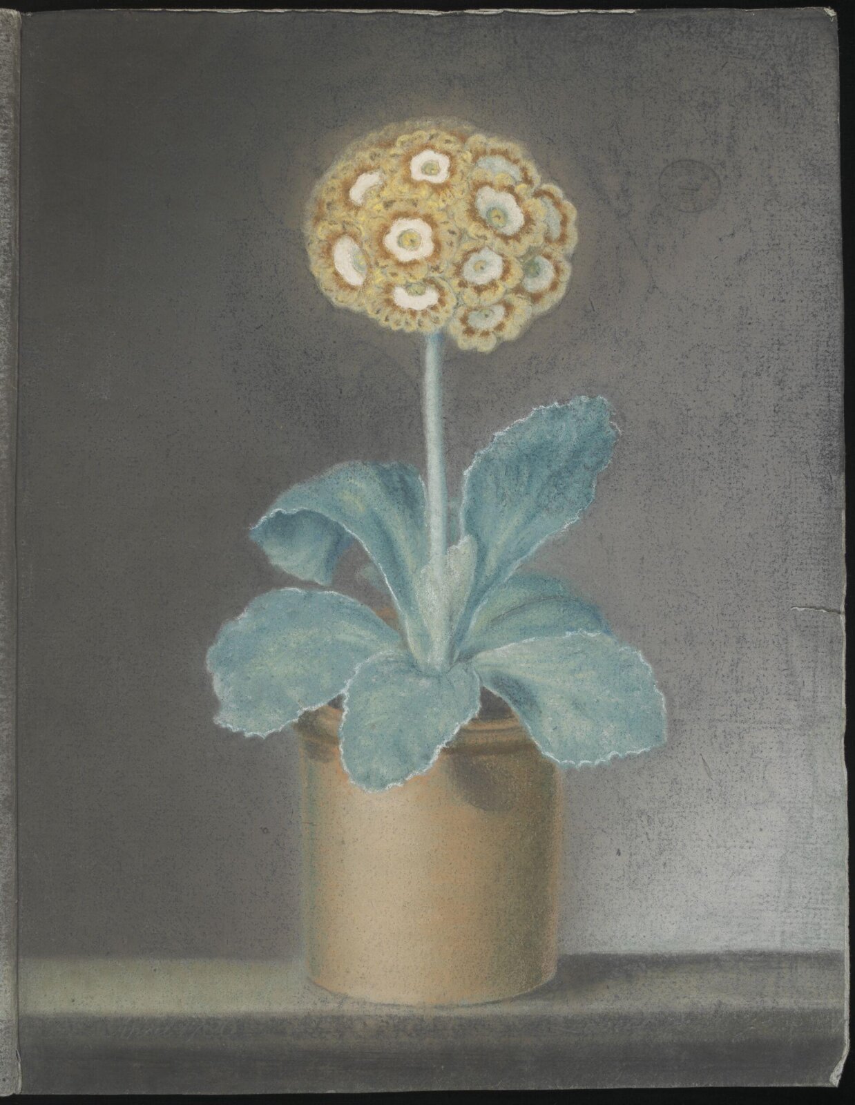 Drawing, April 1786