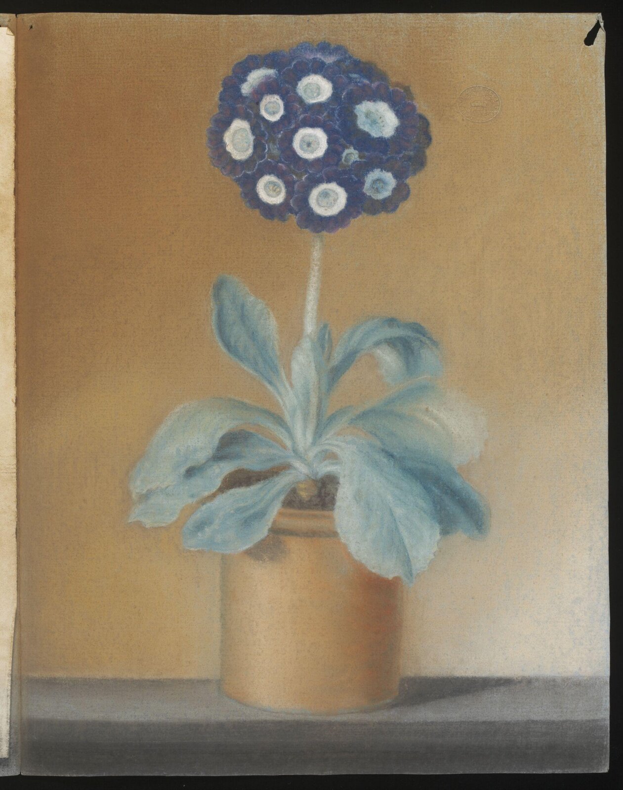 Drawing, April 1786