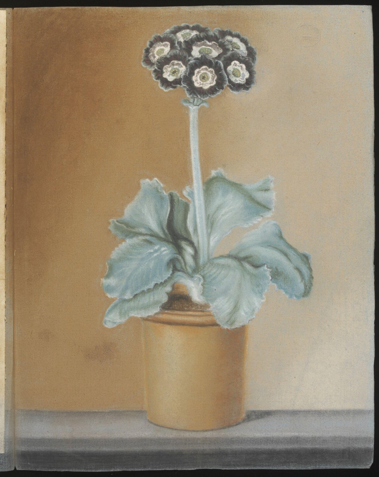 Drawing, April 1786