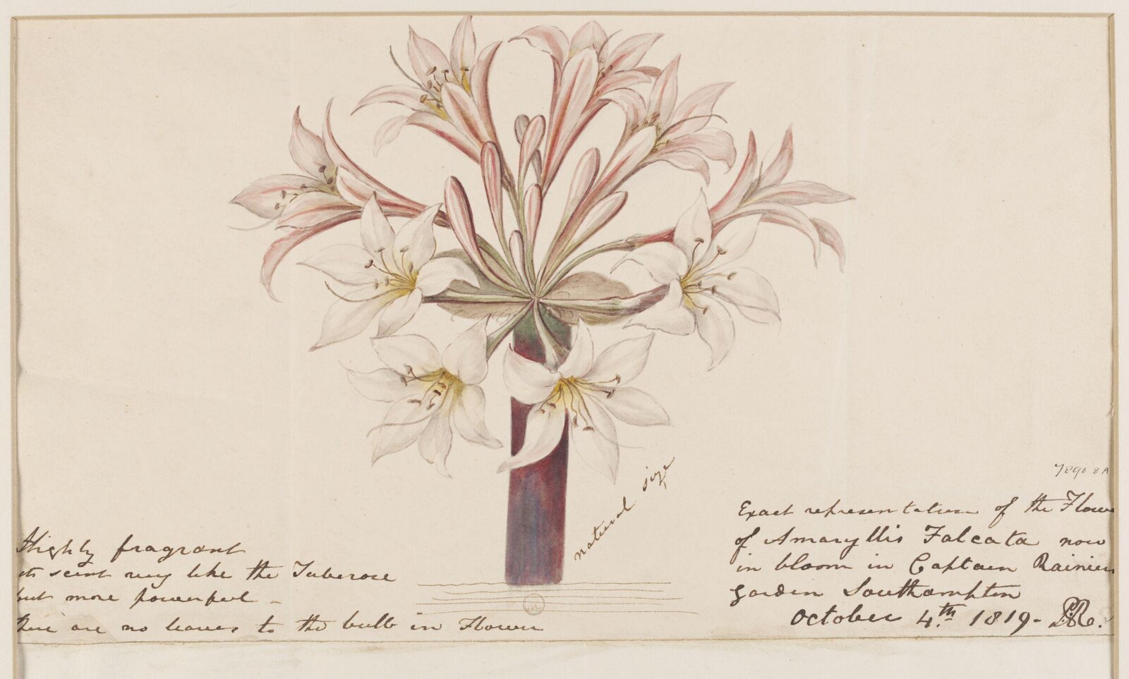 Drawing, 4th Oct 1819
