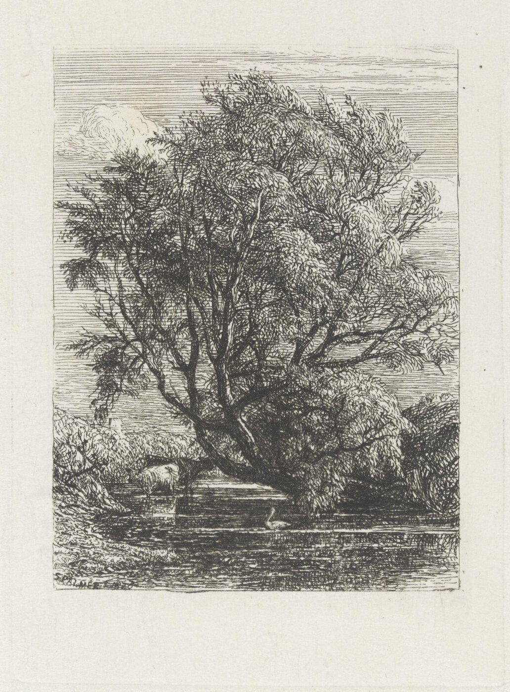 Samuel Palmer, The Willow