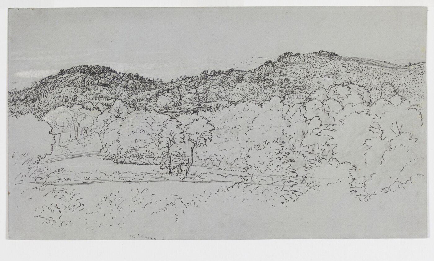 Samuel Palmer, A wooded hillside at Underriver, near Sevenoaks, Kent