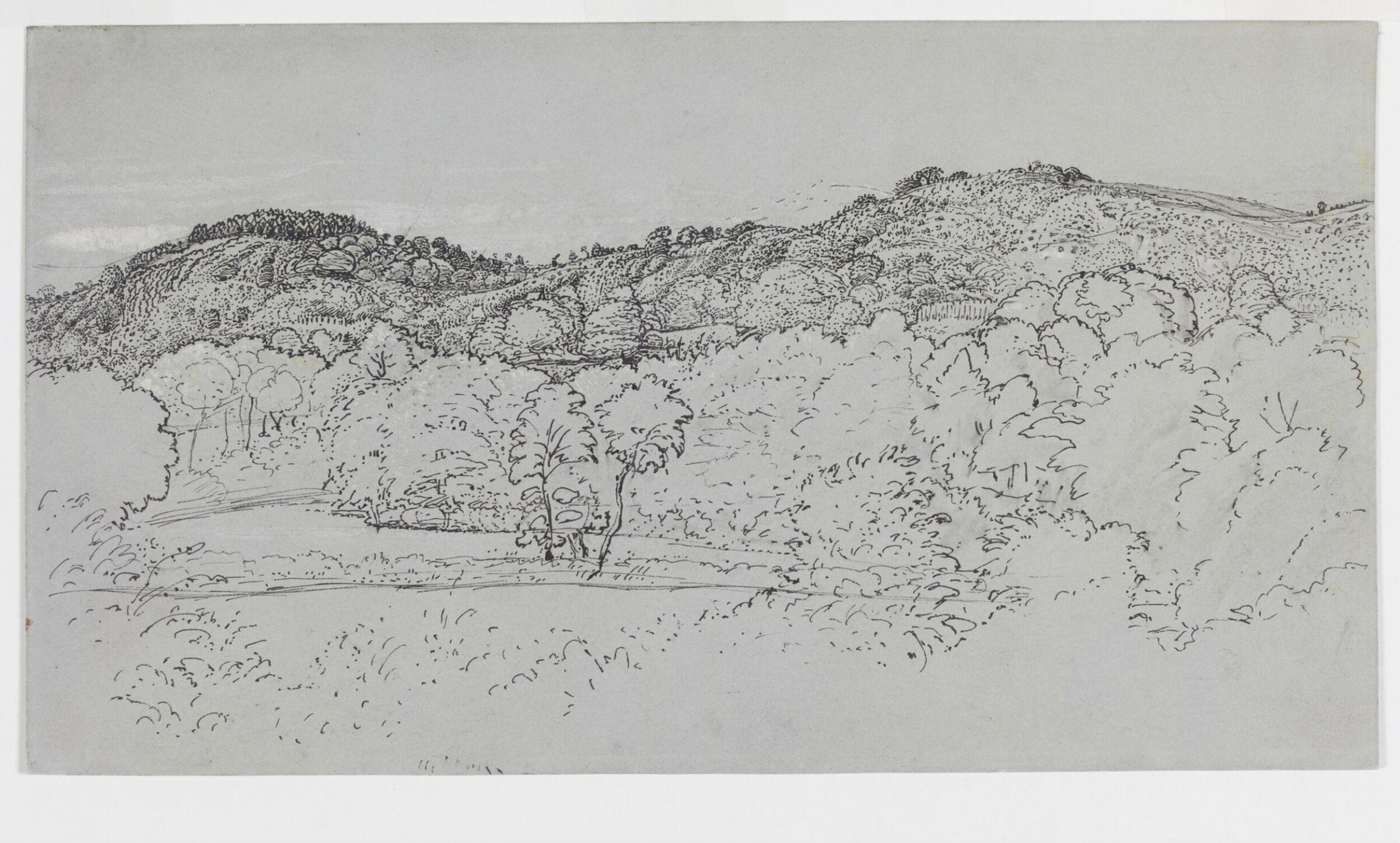 A wooded hillside at Underriver, near Sevenoaks, Kent, Samuel Palmer, ca. 1829