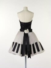 The Piano Dress thumbnail 2