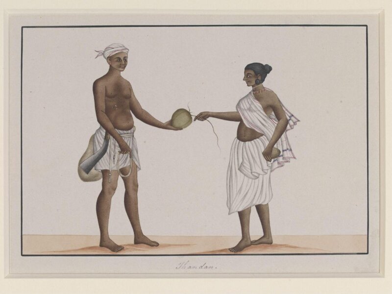 Coconut-gatherers