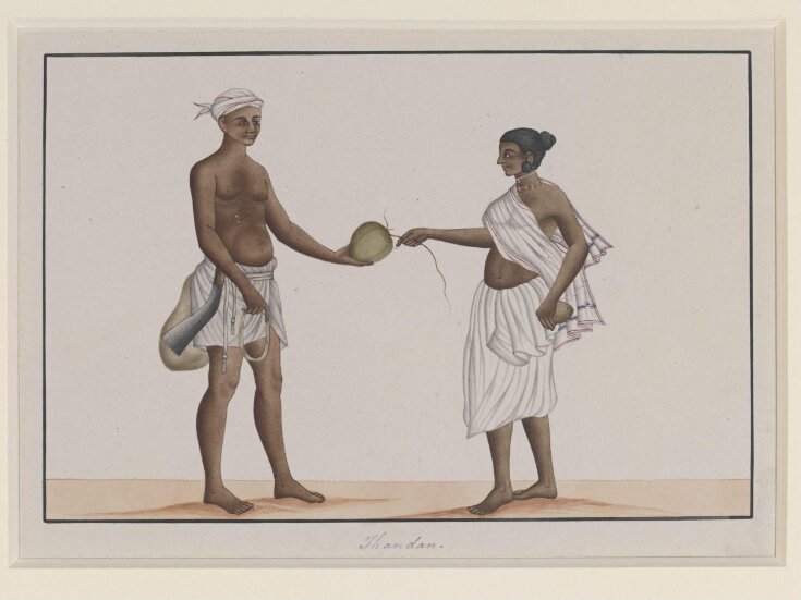 Coconut-gatherers top image