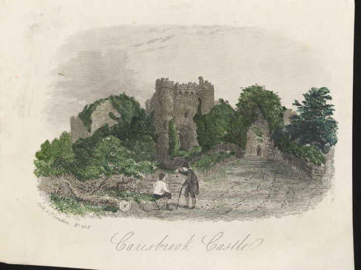 Carisbrook Castle top image