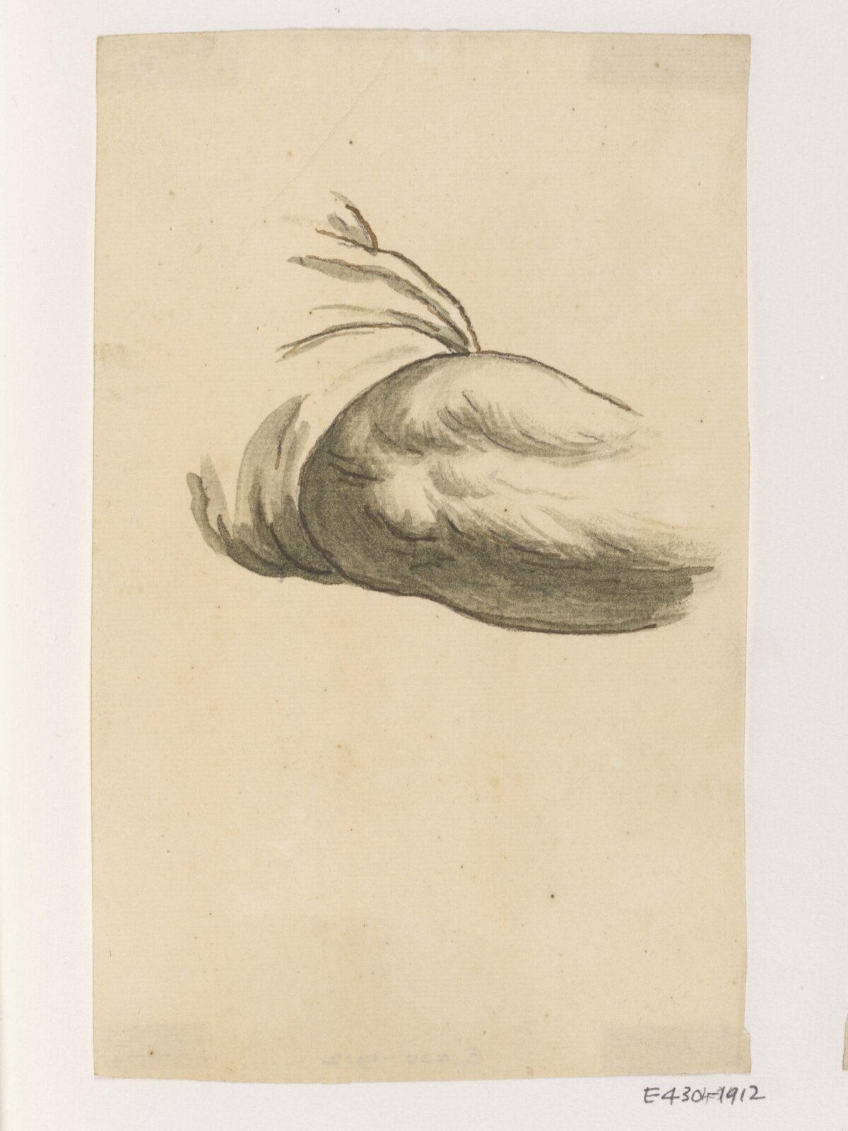 Raphael Cartoons, James Thornhill, 1729-1731