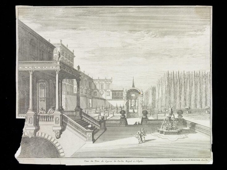 Veue du Bois de Cypres du Jardin Royal à Naples top image