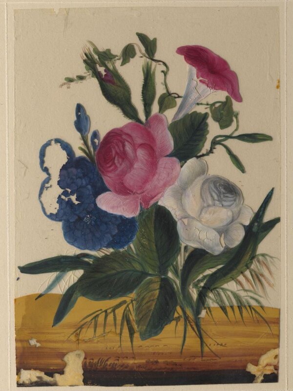 One of eighteen drawings of flowers.