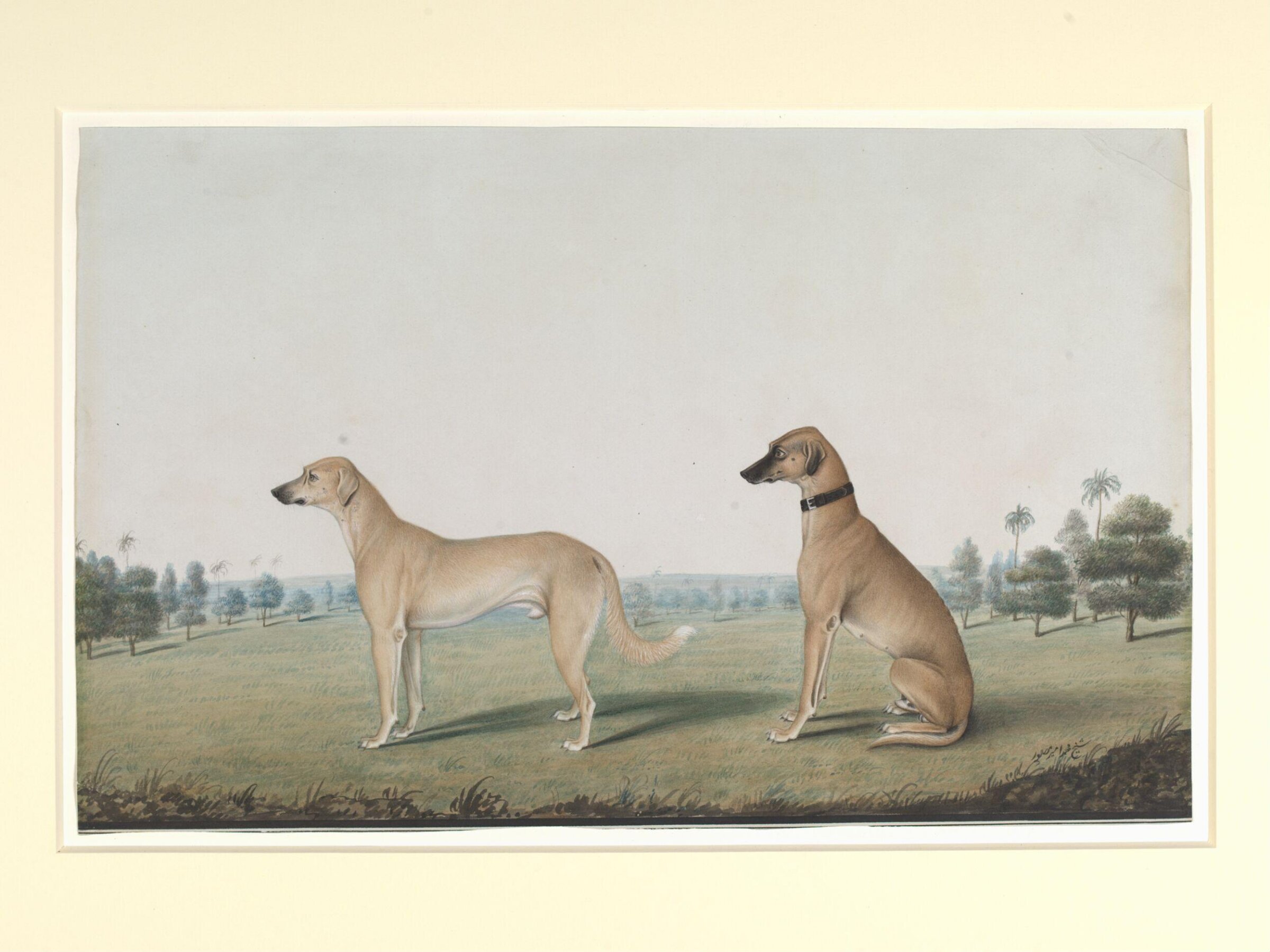 Two dogs in the compound of a Calcutta house, Shaikh Muhammad Amir, ca. 1845