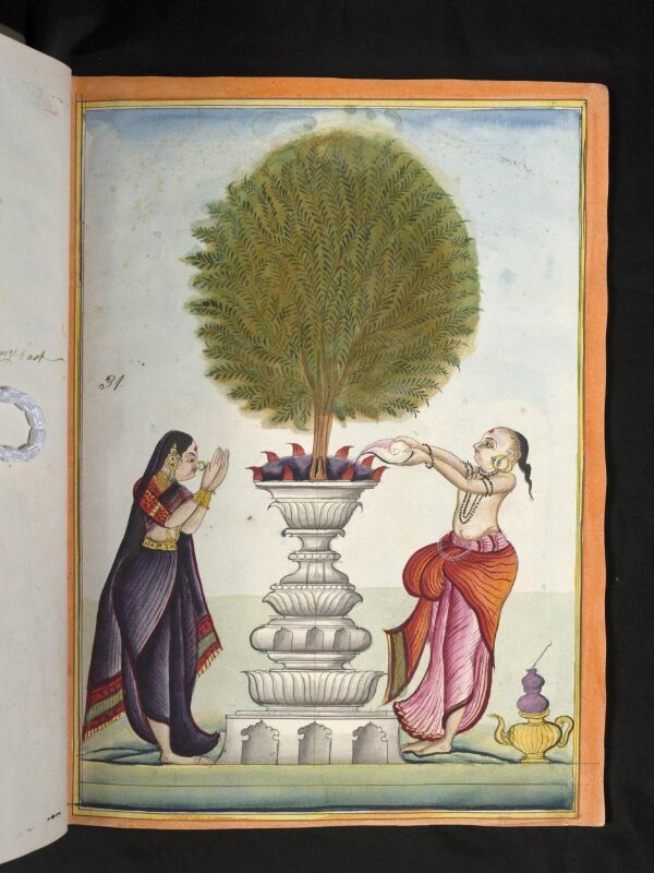 A Brahmin and his wife