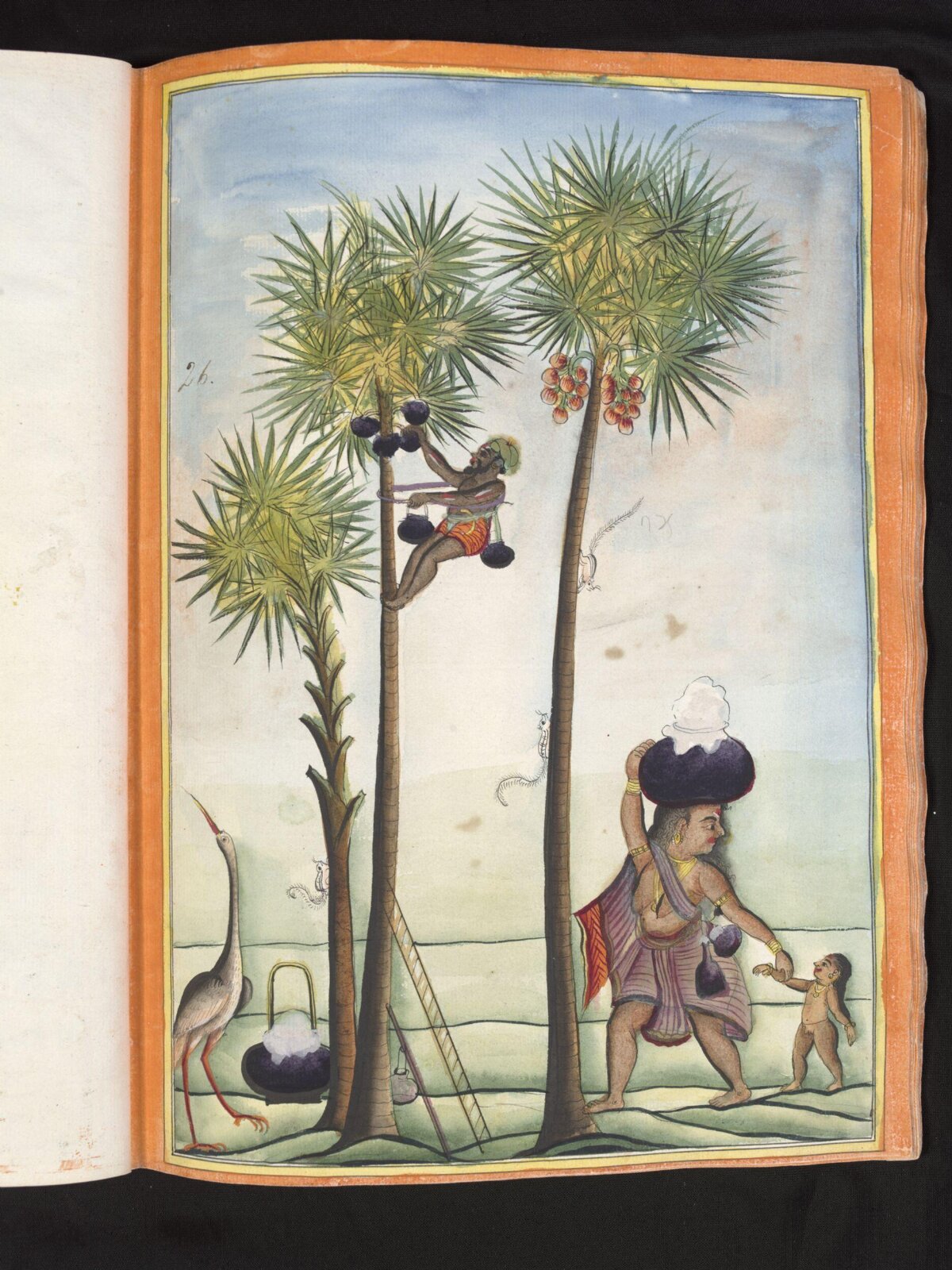 A toddy-tapper, ca. 1785