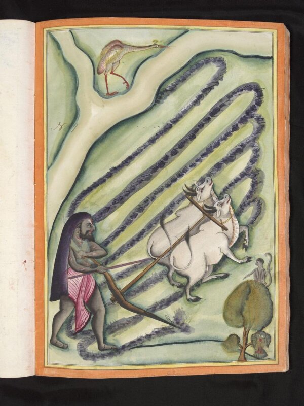 A cultivar ploughing beside a river.