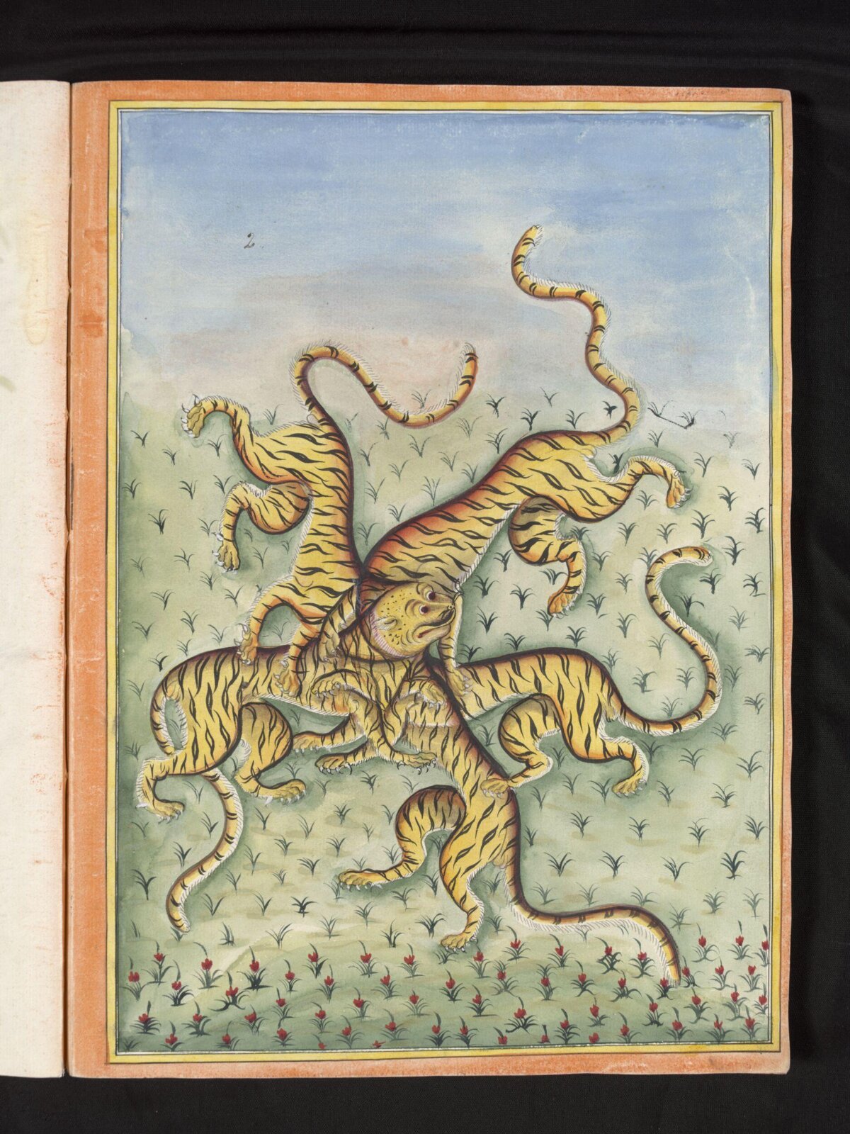 Five tigers with one head, ca. 1785