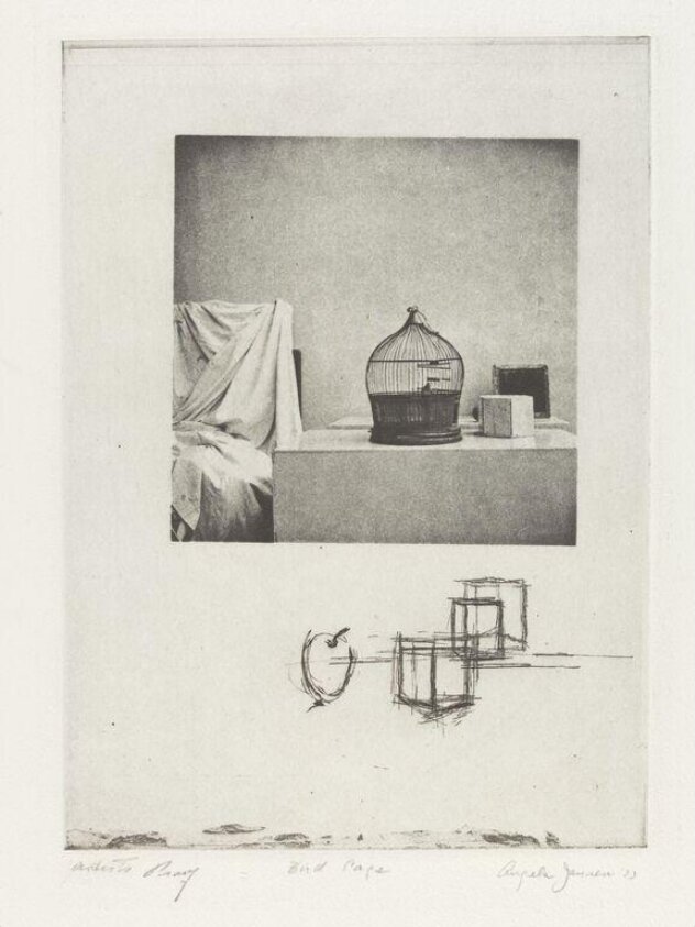 Bird cage (1973) by F. Jansen