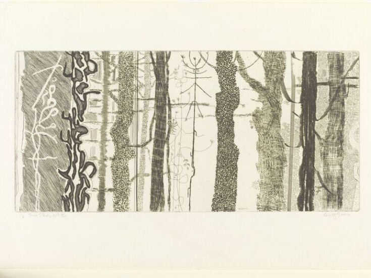 Tree Study No.2 | Gross, Anthony | V&A Explore The Collections