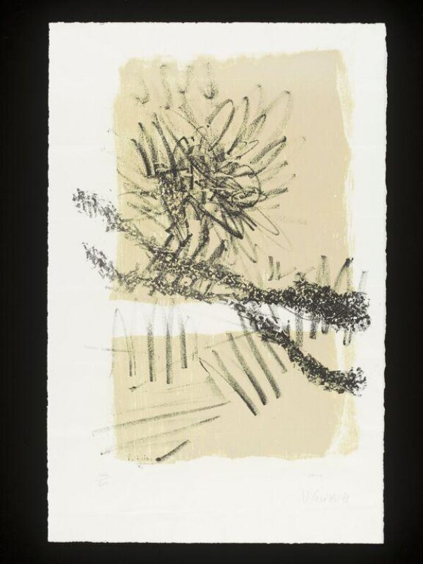 Print Guiro, Vincent V&A Explore The Collections