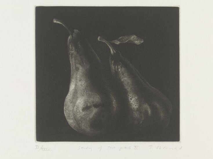 Study of two pears IV top image