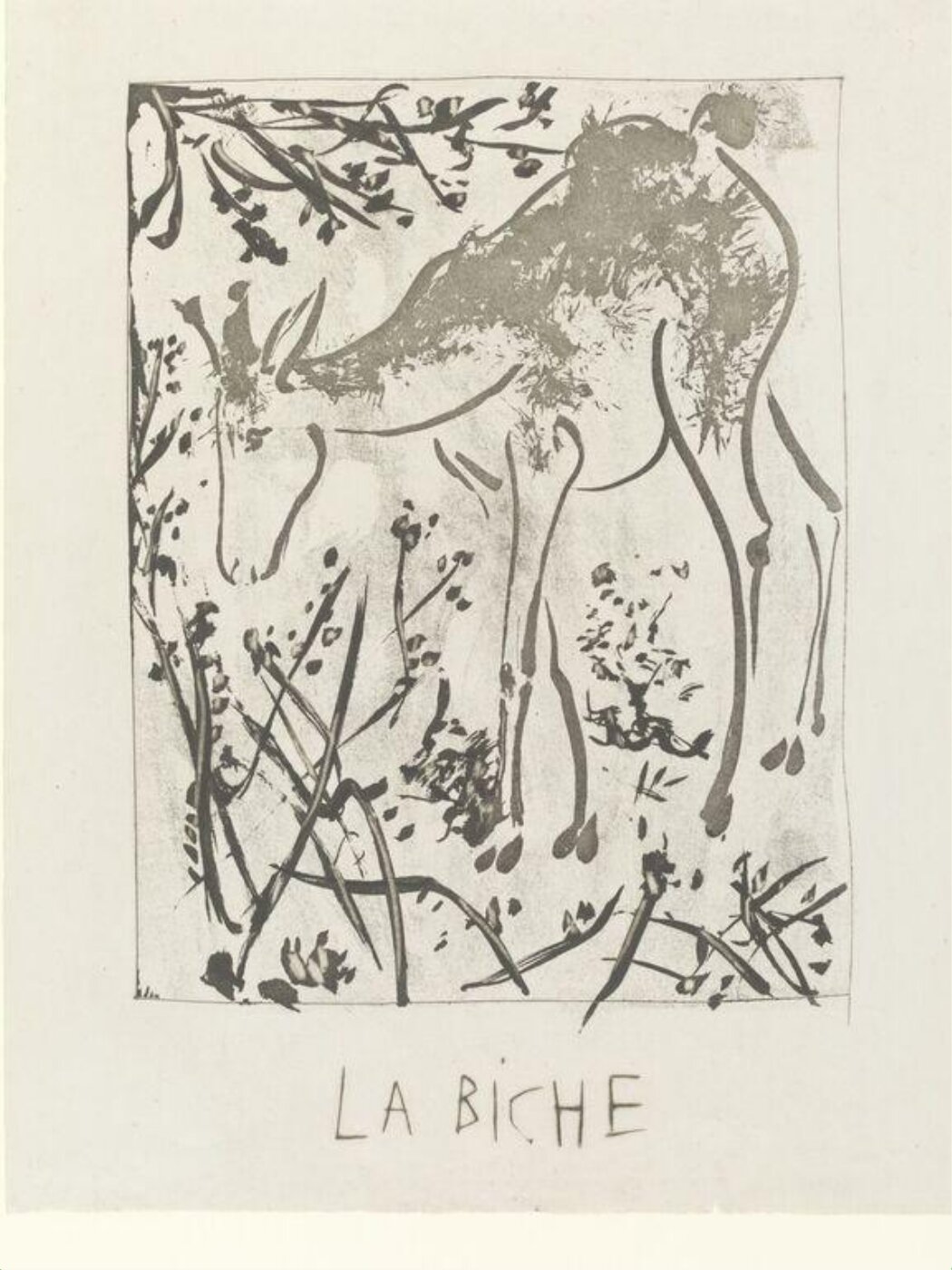 Pablo Picasso, Histoire Naturelle