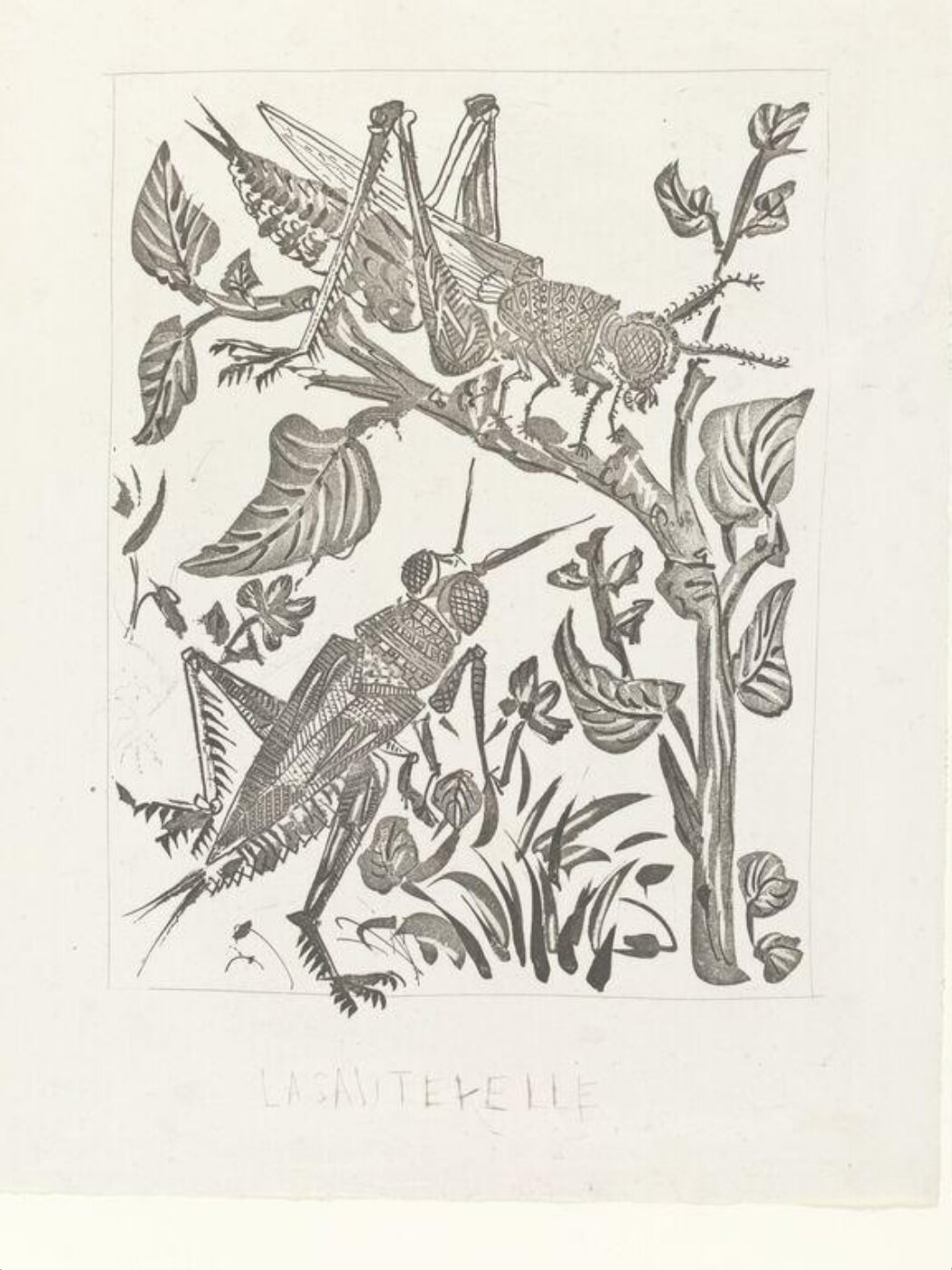 Pablo Picasso, Histoire Naturelle