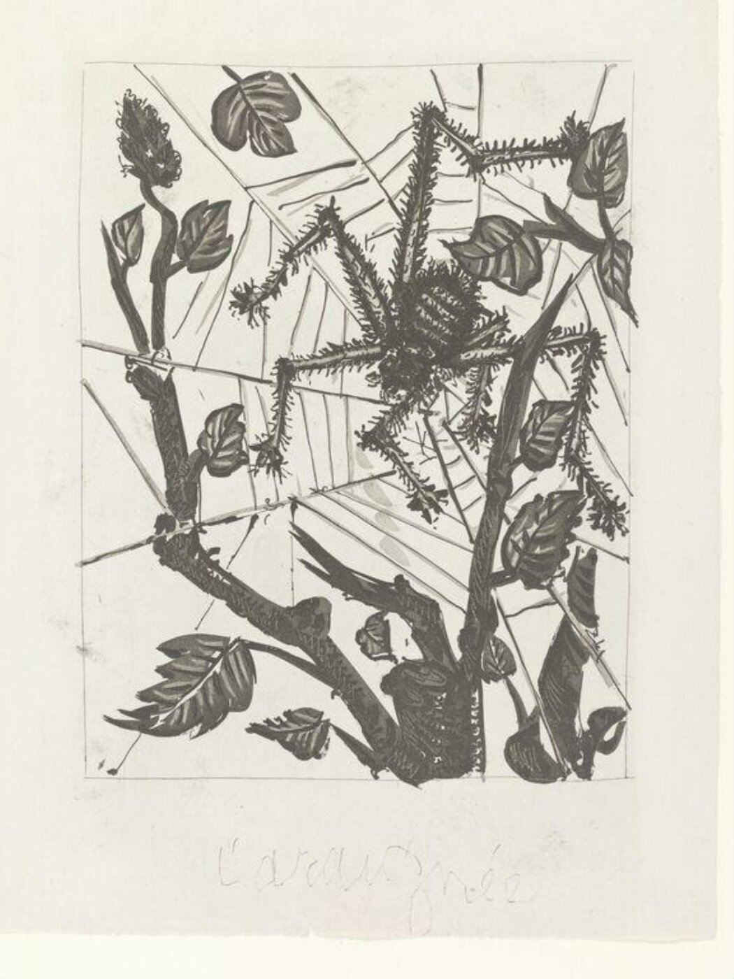 Pablo Picasso, Histoire Naturelle