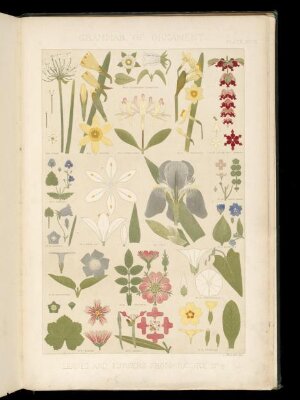 The grammar of ornament, vol. 3