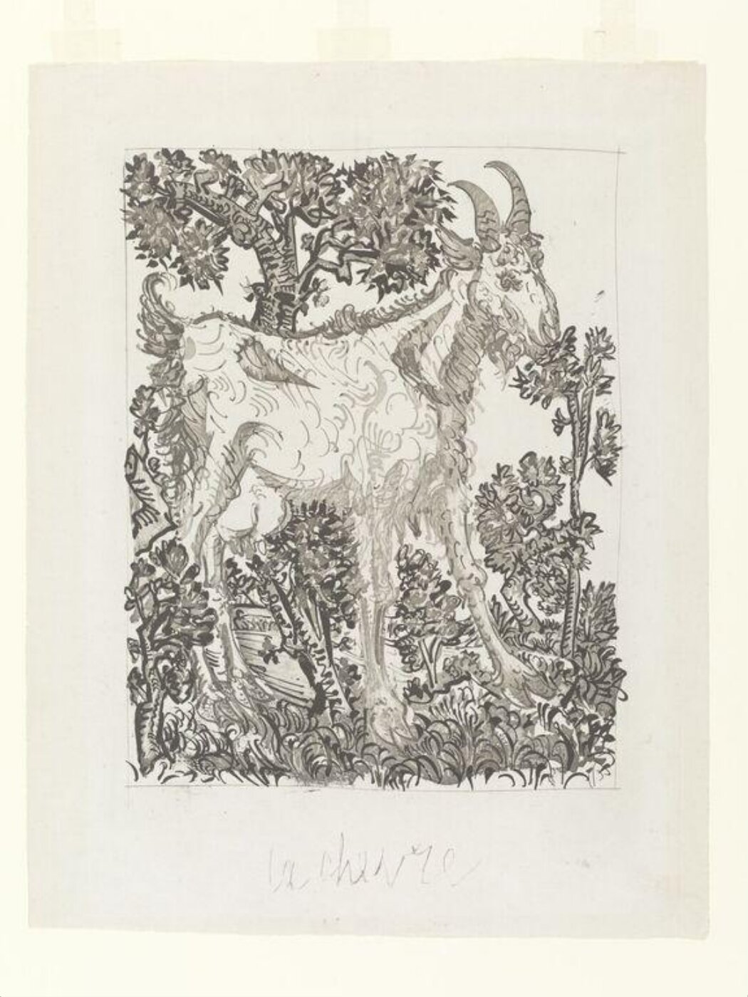 Pablo Picasso, Histoire Naturelle
