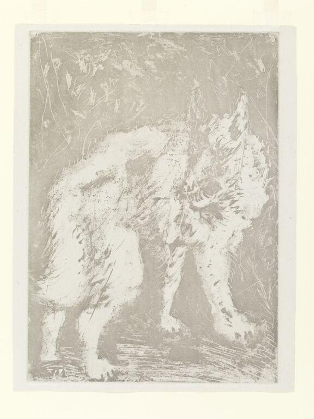 Pablo Picasso, Histoire Naturelle