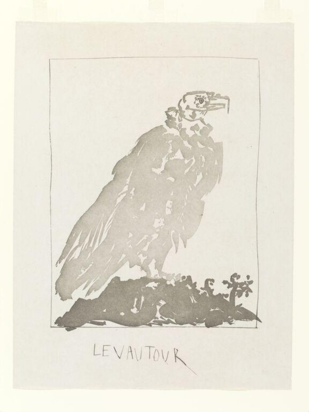 Pablo Picasso, Histoire Naturelle