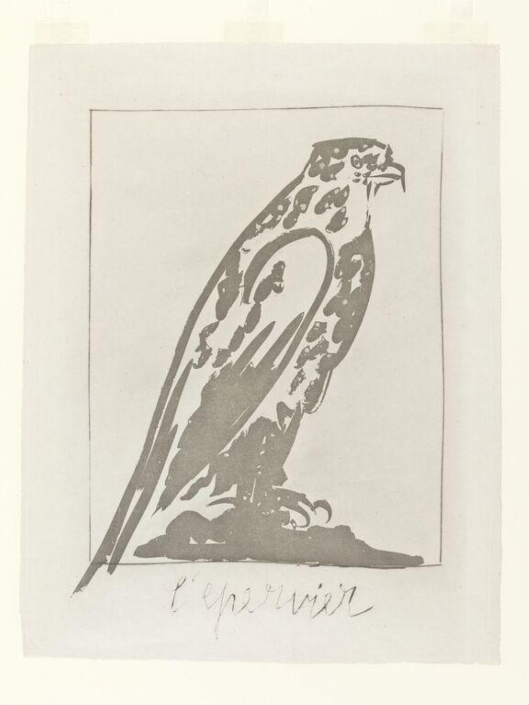 Pablo Picasso, Histoire Naturelle