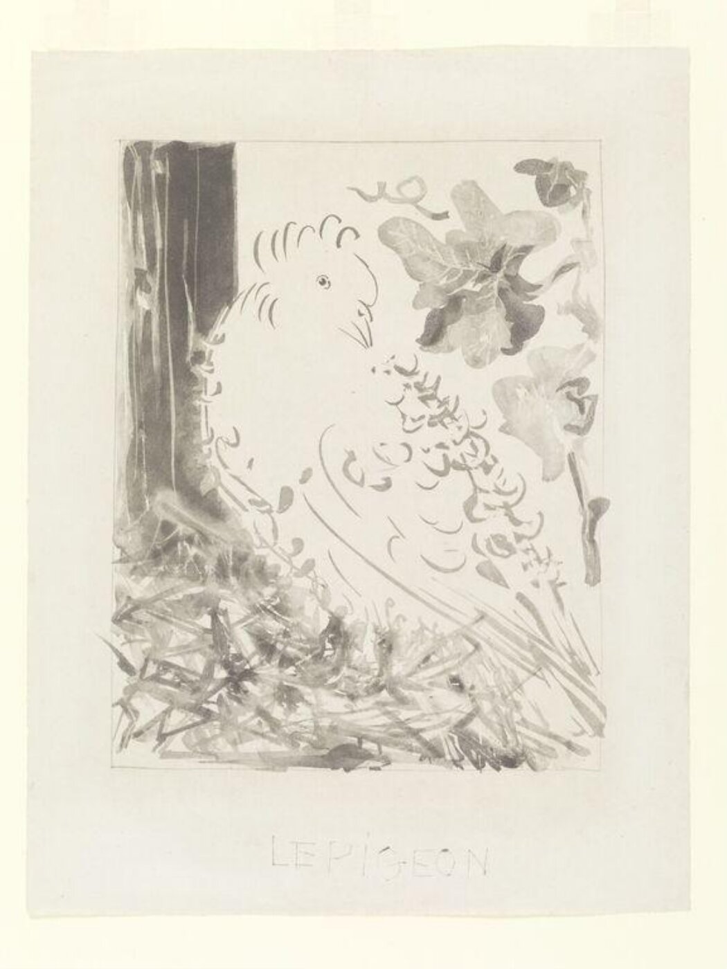 Pablo Picasso, Histoire Naturelle