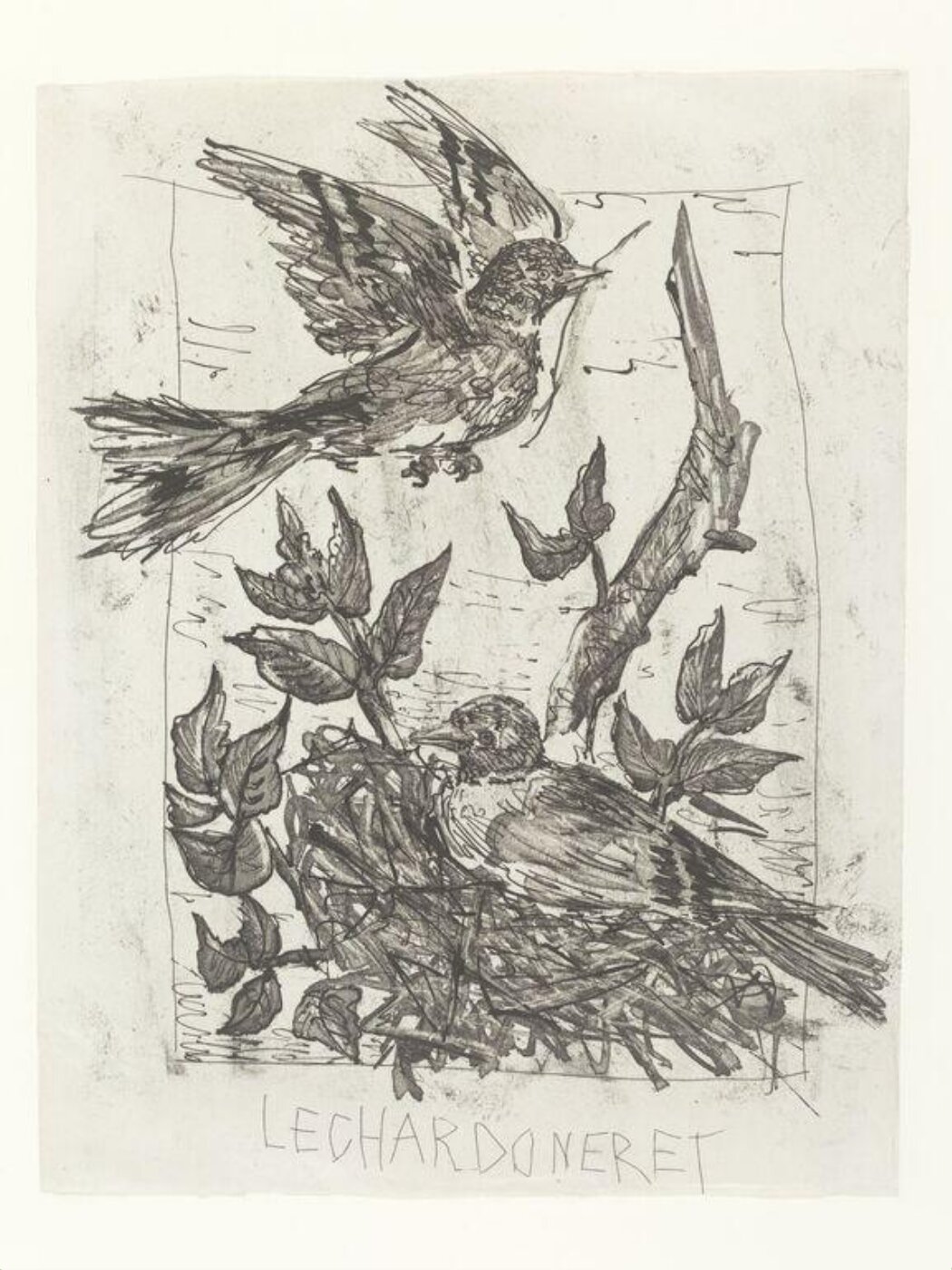 Pablo Picasso, Histoire Naturelle